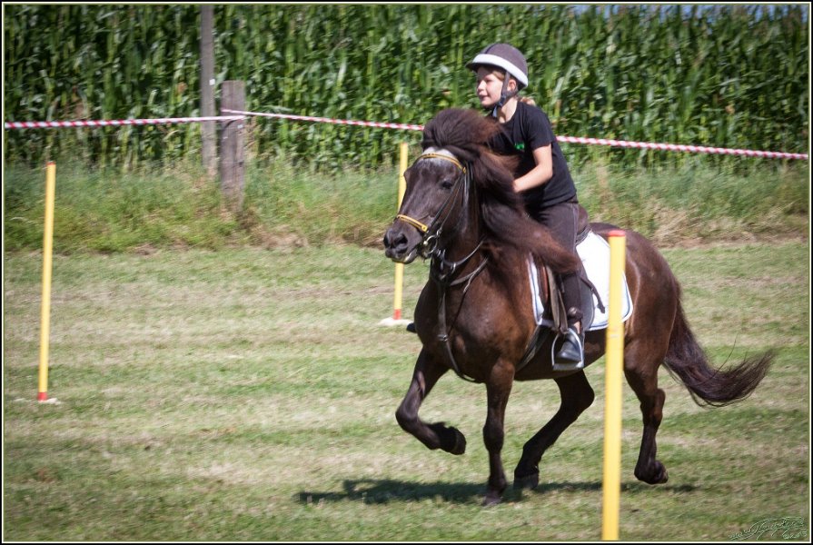 Mounted Games 017